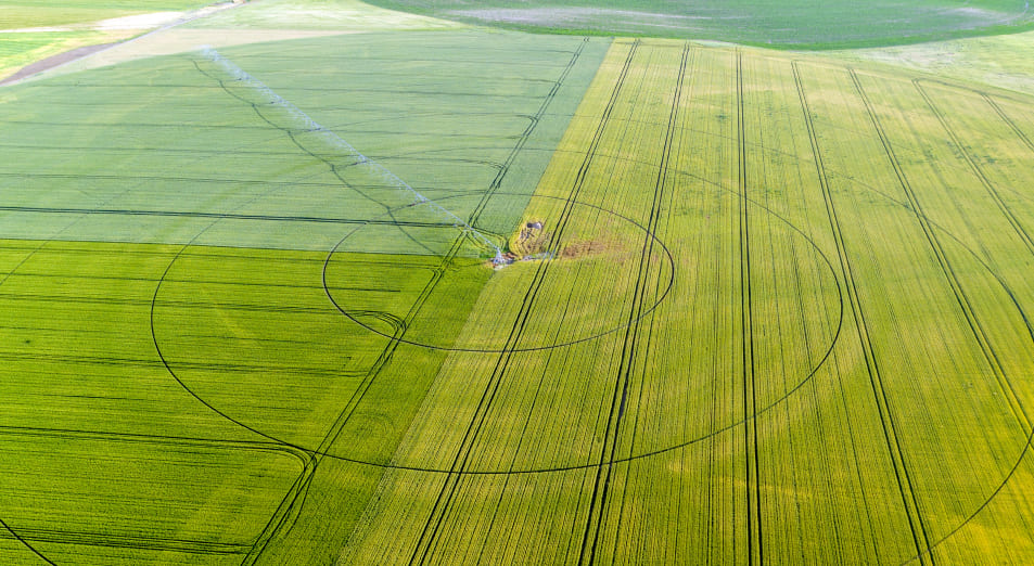 Imagen aérea de campo verde